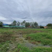 ۱۲ هزار متر با سند/مستعد تغییر کاربری|فروش زمین و ملک کلنگی|املش, |دیوار