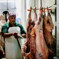 طرح مصرف خانوار1عدد*هرسرپرست دام زنده تضمینی|حیوانات مزرعه|مشهد, شهرک رازی (شهرک غرب)|دیوار