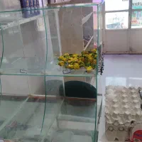 استند اهنی+ویترین شیشه‌ای