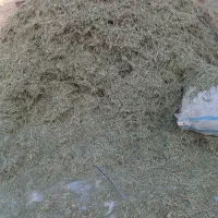 یونجه کوبیده