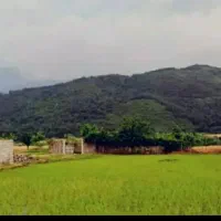 زمین‌مسکونی