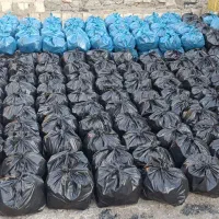 کارگر خانم ساده