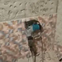 پیکور ۷کیلویی اجاره،ساعتی،روزانه،