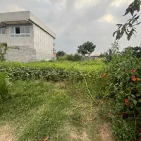 فروش زمین مسکونی روستای ۱۳۰ متری با مجوز ساخت|فروش زمین و ملک کلنگی|کیاکلا, |دیوار