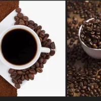 باریستا در مغازه قهوه فروشی