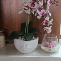 گل و گلدان ارکیده