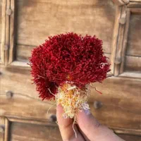 زعفران عیار بالای سرایان