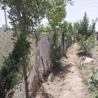 باغچه ۶۰۰ متری فنس شده