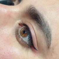 مدل شیدینگ لب  و خط چشم|خدمات آرایشگری و زیبایی|باقرشهر, |دیوار