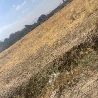 ۷۰۰ متر حسن آباد