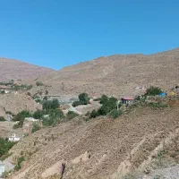 زمین-بام-هیر-ویو-ابدی