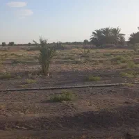 نیازمندسرمایه گذار برای کشاورزی