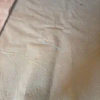 موکت|موکت|گرگان, |دیوار