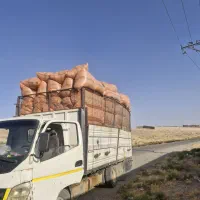 کاه دیم فروشی