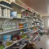 استخدام همکار خانم