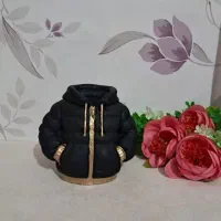 دکوری|خدمات پذیرایی، مراسم|شیروان (خراسان), |دیوار