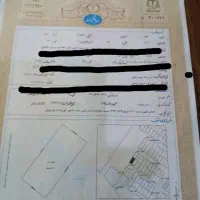 زمین