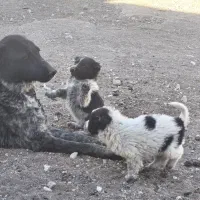 واگذاری قهدریجونی همه چی تموم