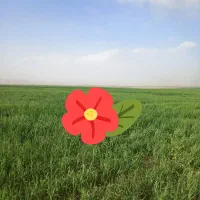 زمین