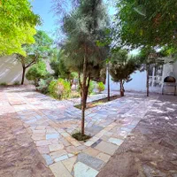 اجاره باغ ویلا روزانه|اجارهٔ کوتاهمدت ویلا و باغ|تربتحیدریه, کوی شهید احمدزاده ملکی|دیوار