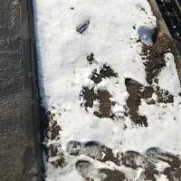 سیم کارت 2003-280-0912