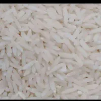 برنج طارم هاشمی