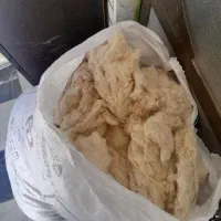 پشم  گوسفند...