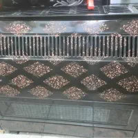 بخاری بزرگ جنرال هلثی