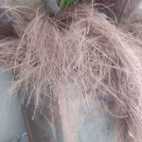 حراج|حراج|اصفهان, عباس‌آباد|دیوار