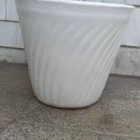 گلدان