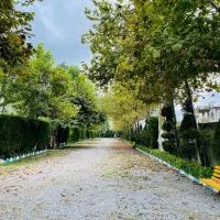 زمین-قابل-ساخت-پلاک-یک-جنگل