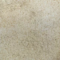 برنج هاشمی گیلان فومن