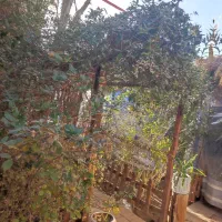 اقامتگاه سنتی شهر پرستاره