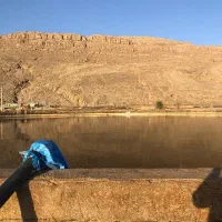 زمین کشاورزی|فروش دفتر صنعتی، کشاورزی، تجاری|مرودشت, محمد آباد|دیوار