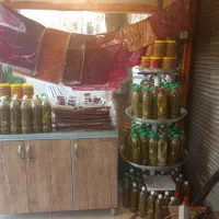 کنگر تازه روز