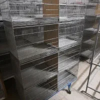 قفس حرفه ای قناری|لوازم جانبی حیوانات|آران و بیدگل, |دیوار