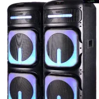 اسپیکر ۲ ساپ ۱۲ اینج آیوا ژاپن