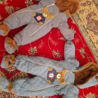 کاپشن نوزادی تا یکسال