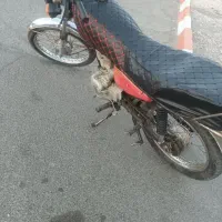 هندا 125 مزایده