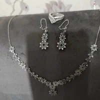 سرویس نقره و انگشتر|جواهرات|مشهد, گاز|دیوار
