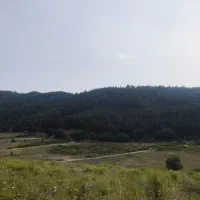 زمین-تفکیکی-باغ-ویلایی-روستای-چنارستان