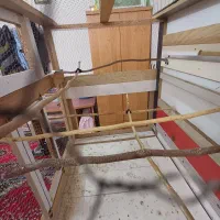 قفس پرنده|لوازم جانبی حیوانات|تربت جام, والفجر|دیوار