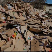 خرید کارتن  کیلو ۲۴هزار