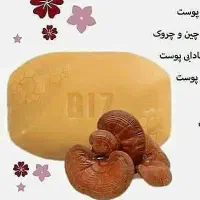 آنلاین شاپ|مواد شوینده و دستمال کاغذی|اندیمشک, |دیوار