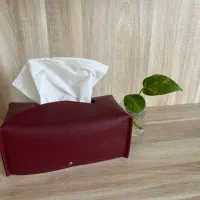 جای دستمال کاغذی
