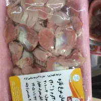 پخش آلایش مرغ وبوقلمون