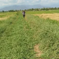 6000مترزمین-زراعی