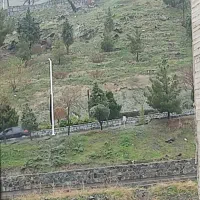 هاشمیه-250-متری