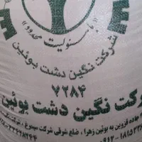 گندم بذری پیشگام اصلاح شده امسالی