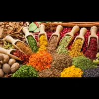 خدای ادویه ایران